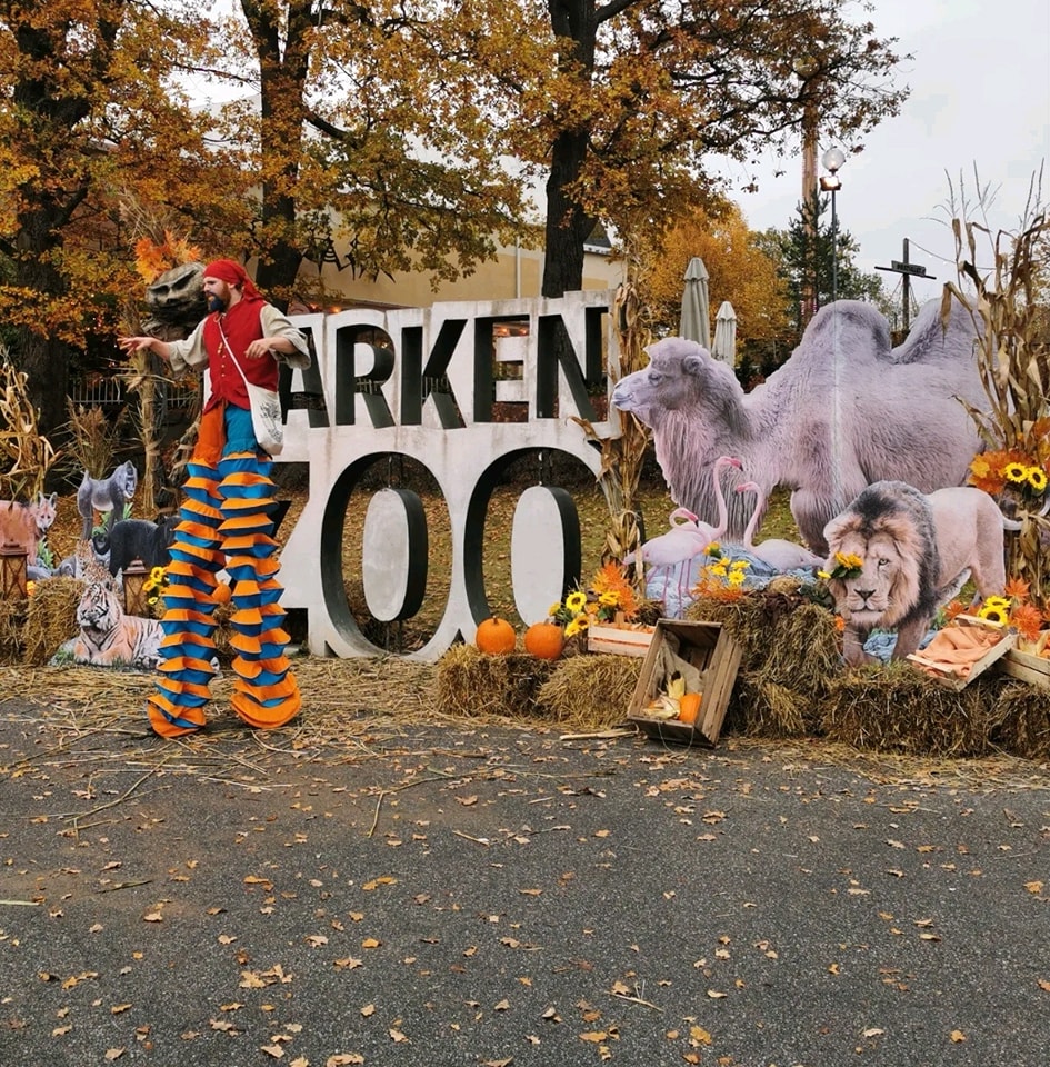 Halloween Parken Zoo 20 oktober 2024 Celiakiförbundet Celiakiförbundet